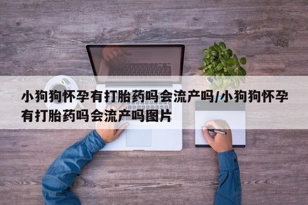 网上米非米索在线购买小狗狗怀孕有打胎药吗会流产吗/小狗狗怀孕有打胎药吗会流产吗图片