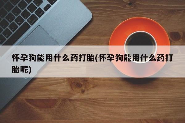 网上米非米索在线购买怀孕狗能用什么药打胎(怀孕狗能用什么药打胎呢)