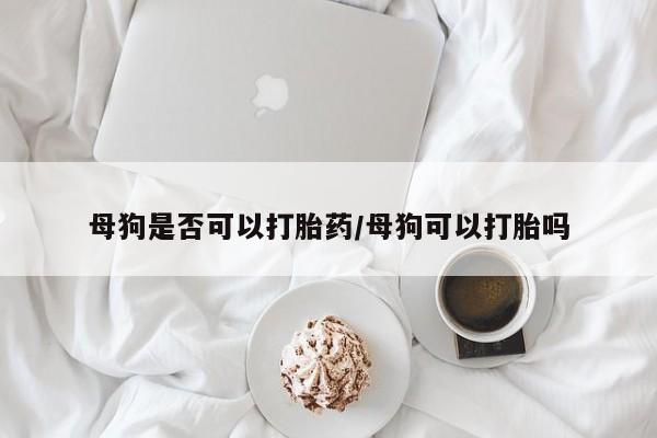 网上米非米索在线购买母狗是否可以打胎药/母狗可以打胎吗